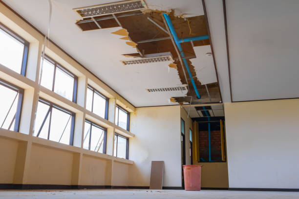 Best Fire Damage Restoration  in Grantsville, UT