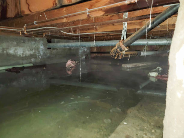 Best Sewage cleanup and water damage restoration  in Grantsville, UT