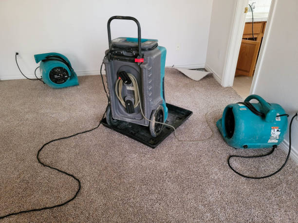 Professional Water damage restoration in Grantsville, UT
