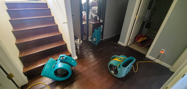 Best Ceiling water damage repair  in Grantsville, UT