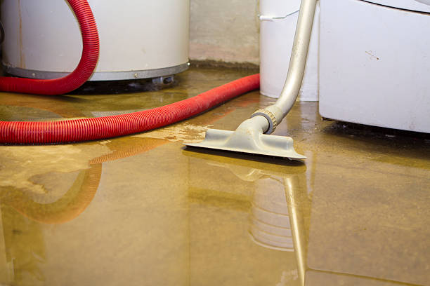 Best Water damage restoration experts  in Grantsville, UT