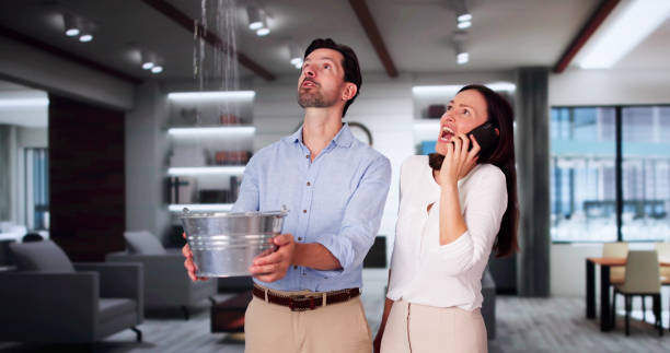 Best Basement water damage restoration  in Grantsville, UT