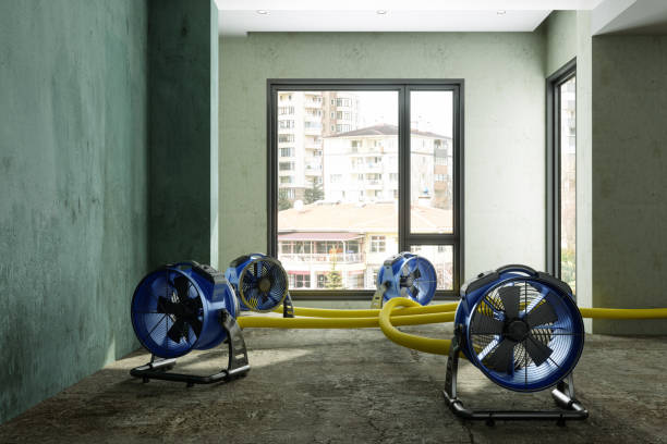 Best Water damage cleanup near me  in Grantsville, UT