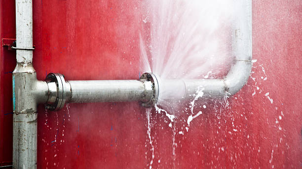 Best Carpet water damage restoration  in Grantsville, UT